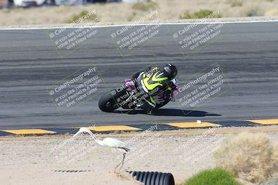 media/Feb-04-2024-SoCal Trackdays (Sun) [[91d6515b1d]]/4-Bowl Backside (11am)/